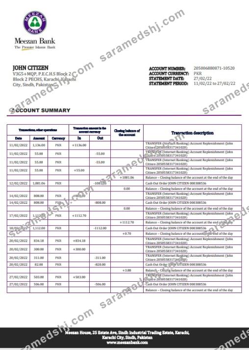 Pakistan Meezan bank statement template in Word and PDF format